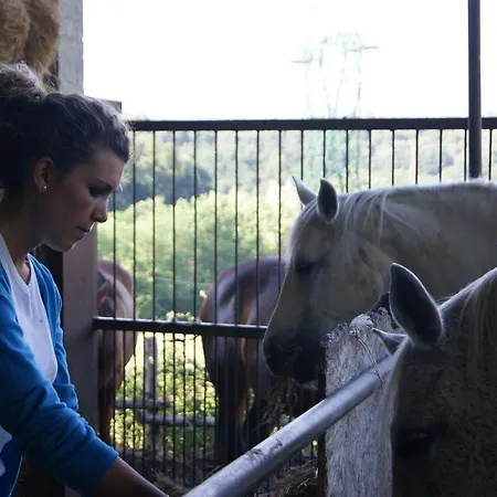 Poggio Di Gaville Meleto